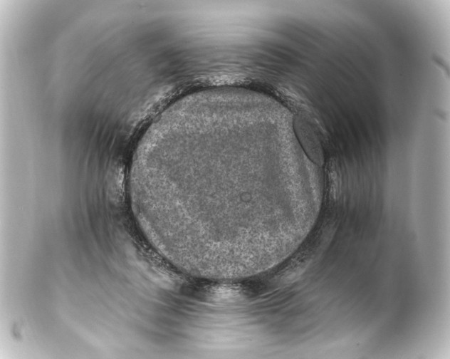 X0000101440308200807281028