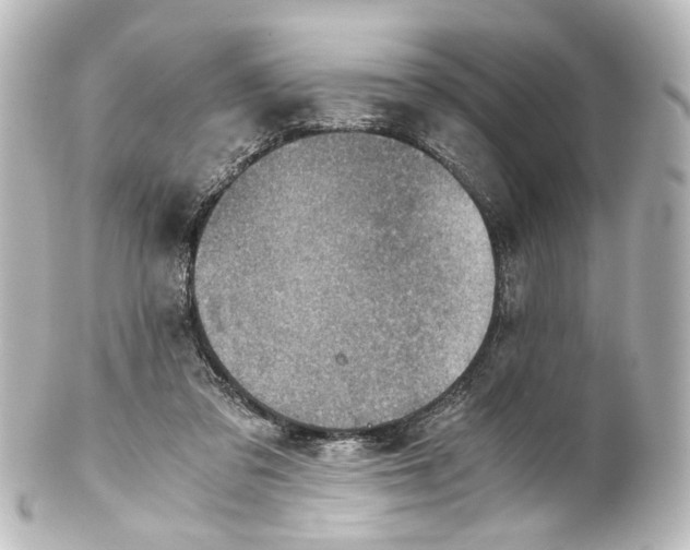 X0000101440309200807281028