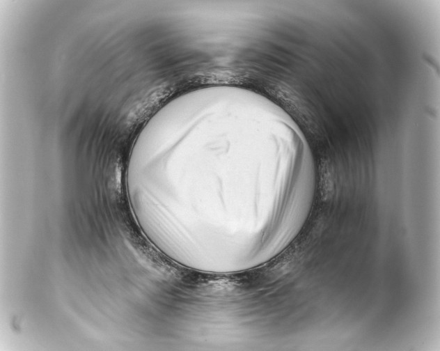 X0000101440310200807281028