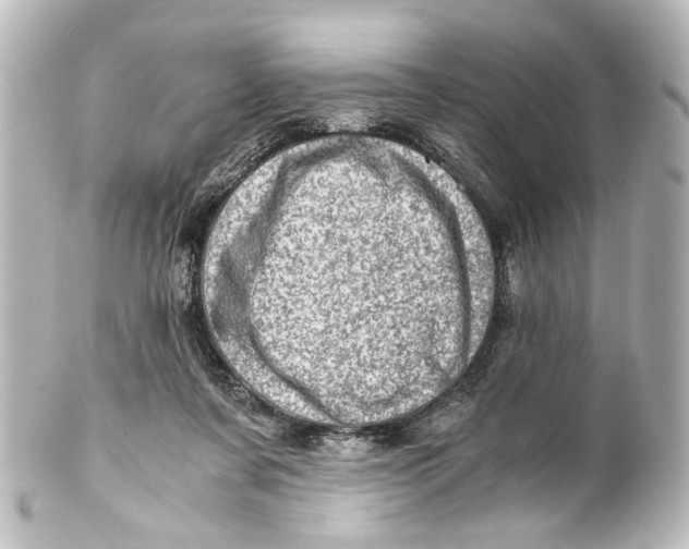 X0000101440311200807281028