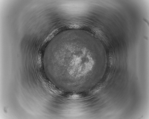 X0000101440312200807281028