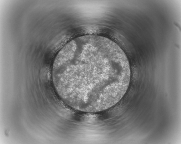 X0000101440313200807281028