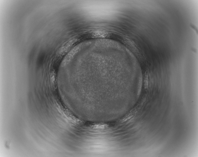 X0000101440314200807281028