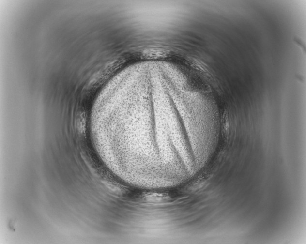 X0000101440315200807281028