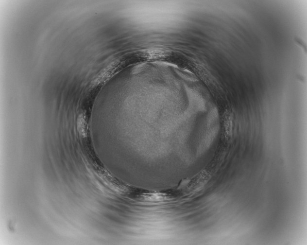 X0000101440316200807281028