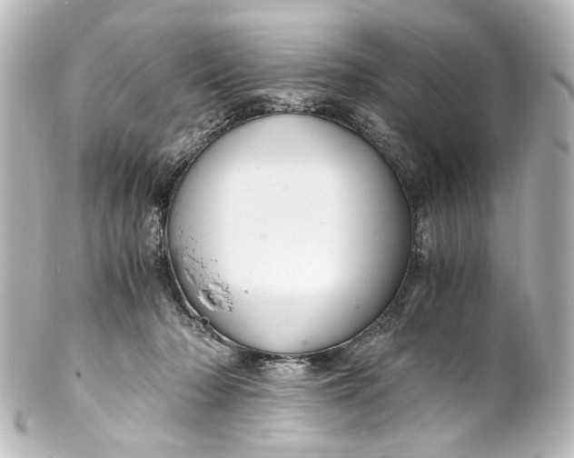 X0000101440318200807281028