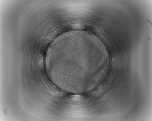 X0000101440320200807281028