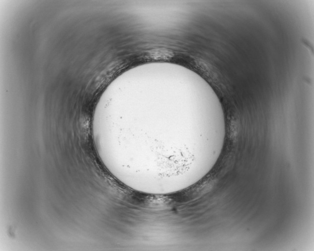 X0000101440321200807281028