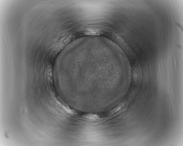 X0000101440322200807281028