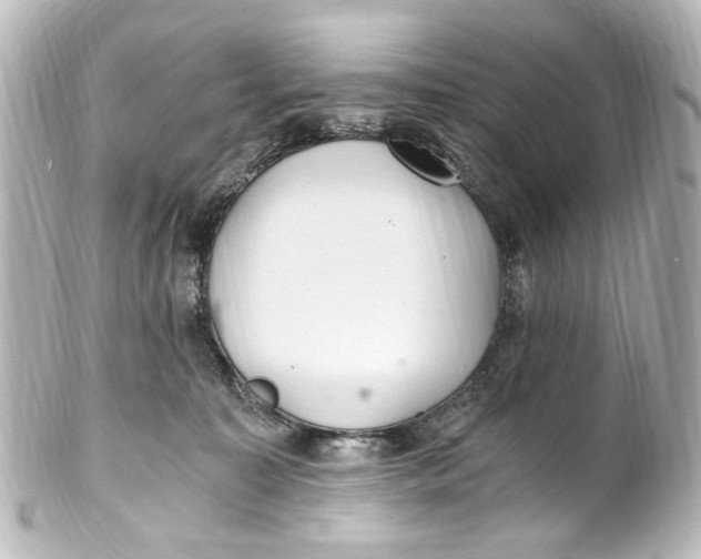 X0000101440323200807281028