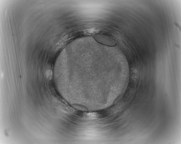 X0000101440324200807281028