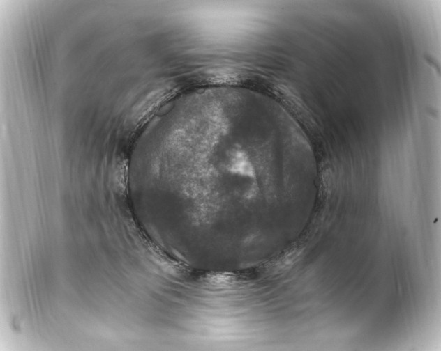 X0000101440325200807281028