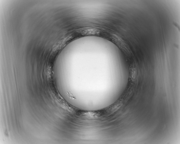 X0000101440326200807281028