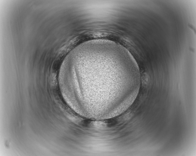 X0000101440327200807281028