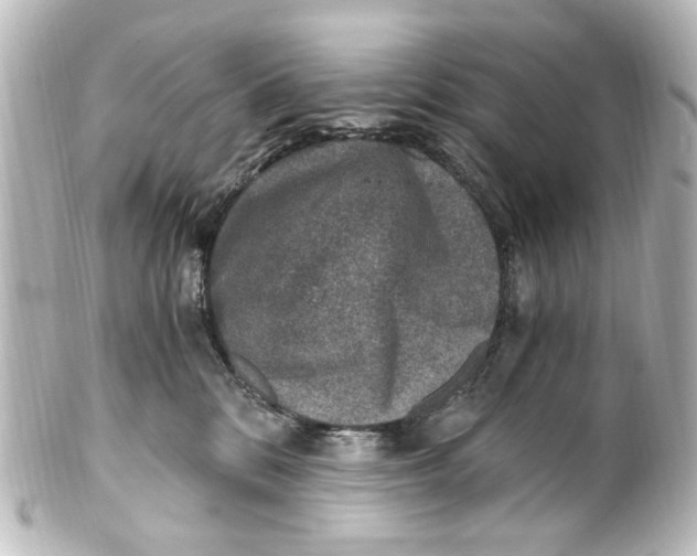 X0000101440328200807281028