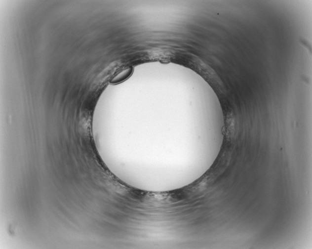 X0000101440329200807281028