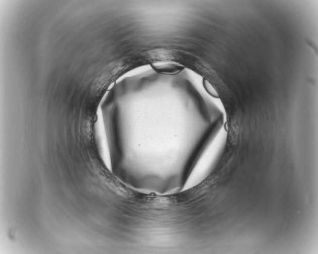 X0000101440330200807281028