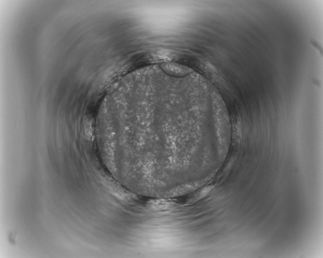 X0000101440331200807281028