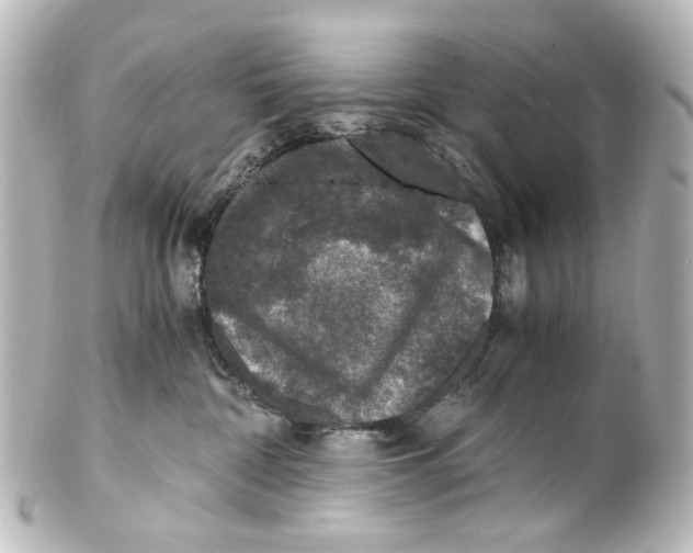 X0000101440332200807281028