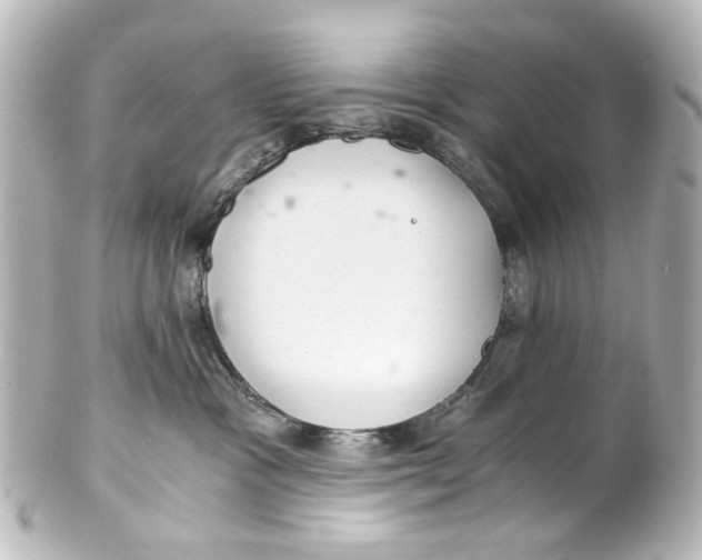 X0000101440333200807281028