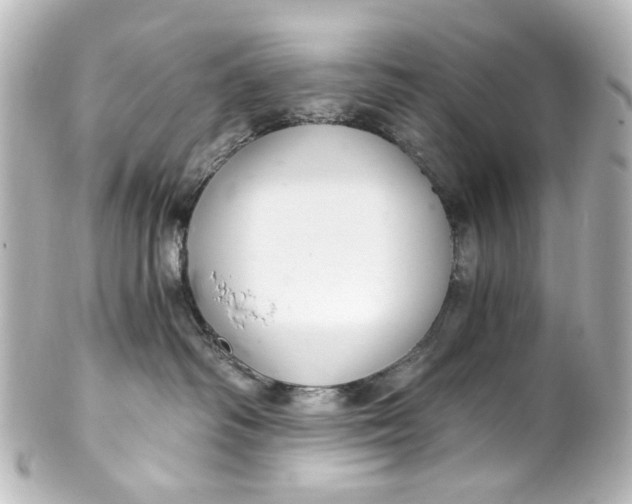 X0000101440334200807281028