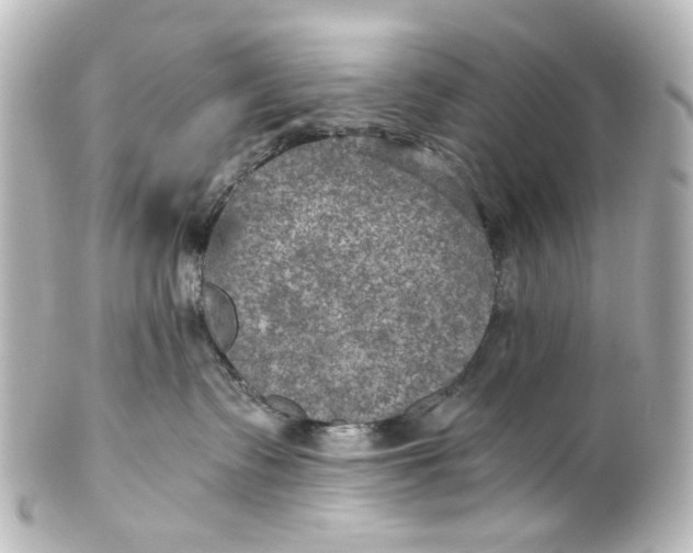 X0000101440335200807281028