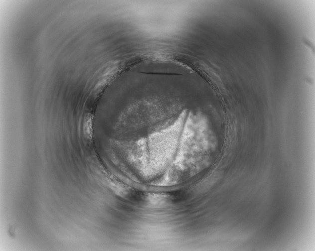 X0000101440336200807281028