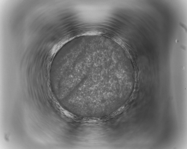 X0000101440337200807281027