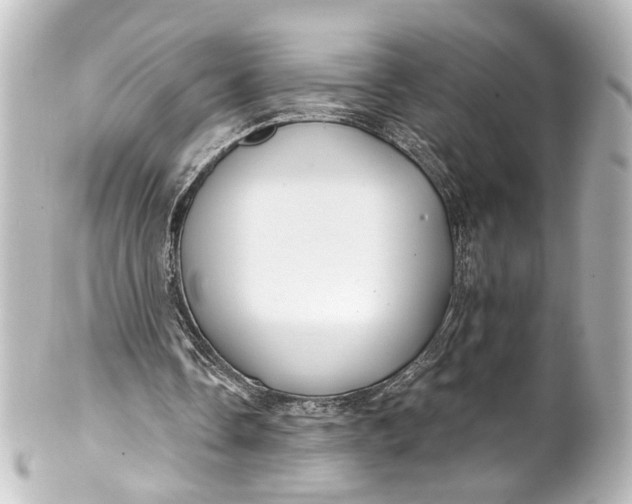 X0000101440338200807281027