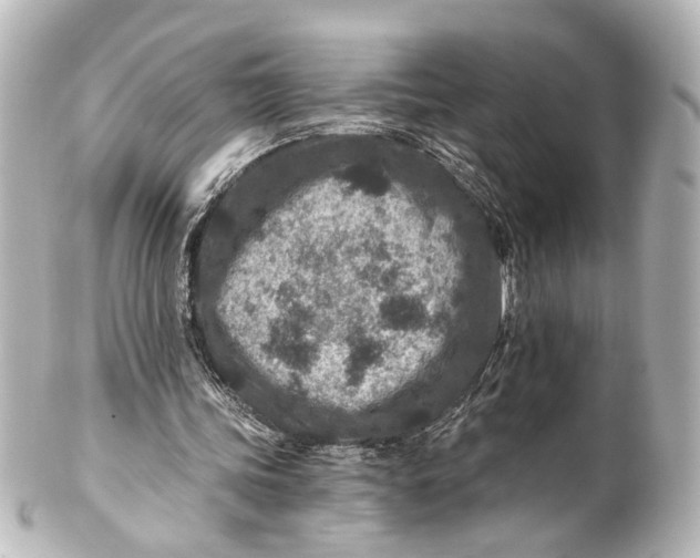 X0000101440339200807281027