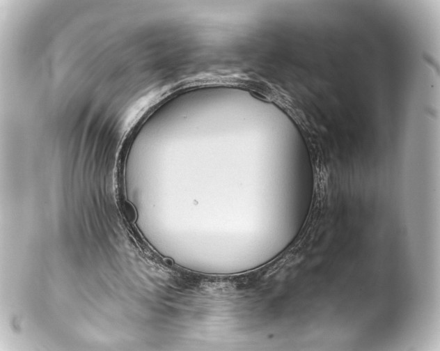 X0000101440340200807281027