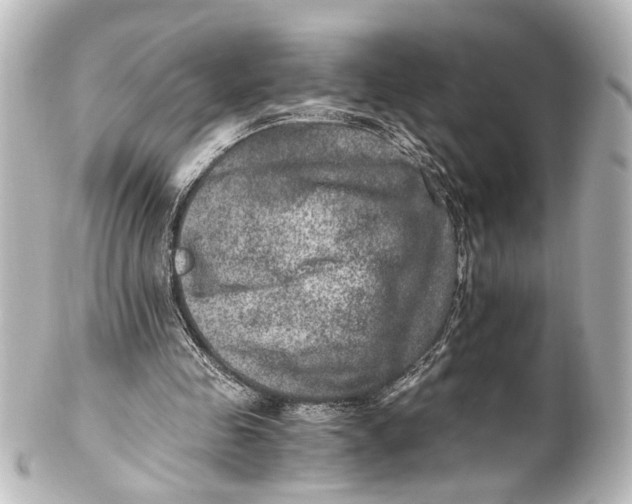 X0000101440341200807281027