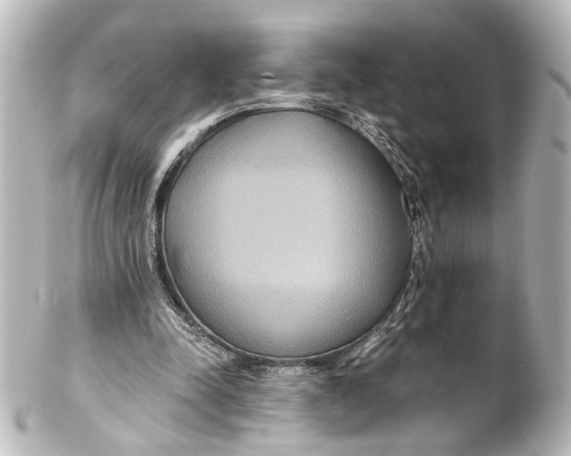 X0000101440342200807281027