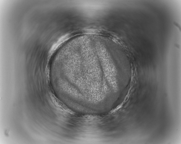 X0000101440343200807281027