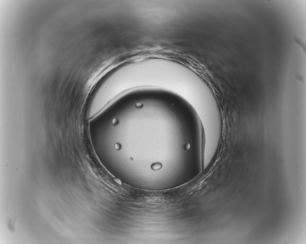 X0000101440344200807281027