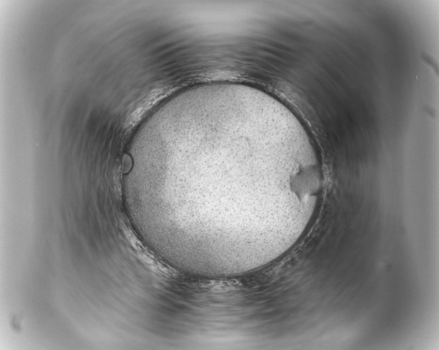 X0000101440345200807281027