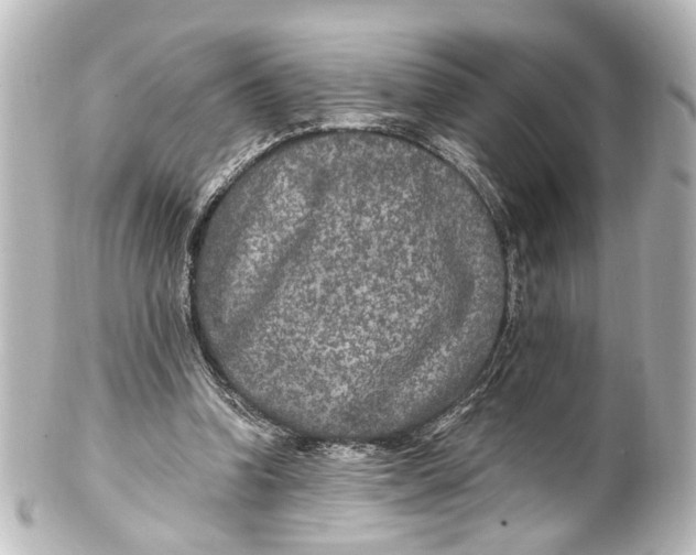 X0000101440346200807281027