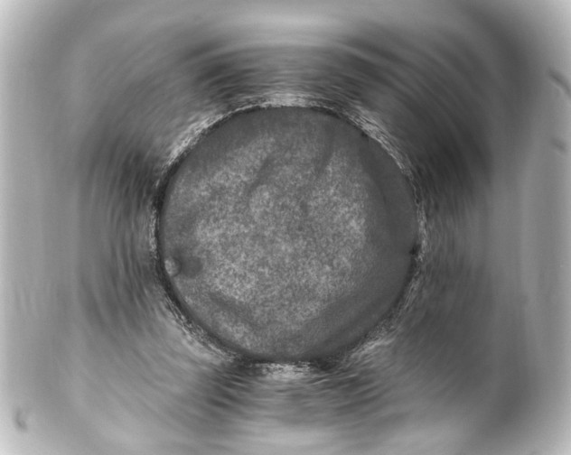 X0000101440347200807281027