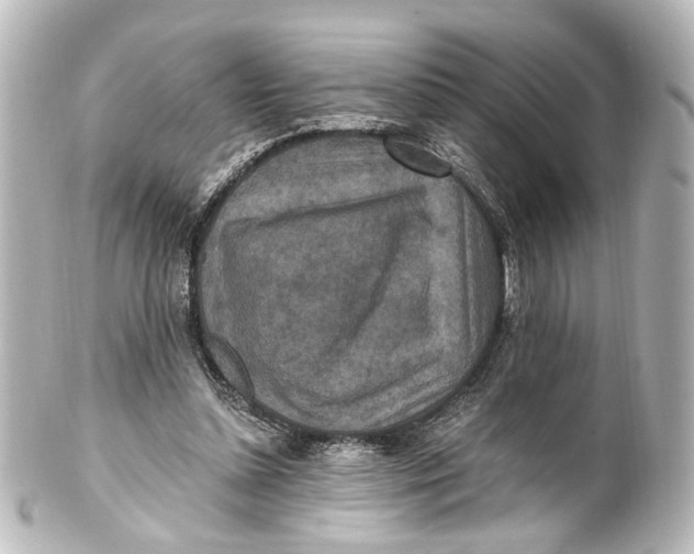 X0000101440348200807281027