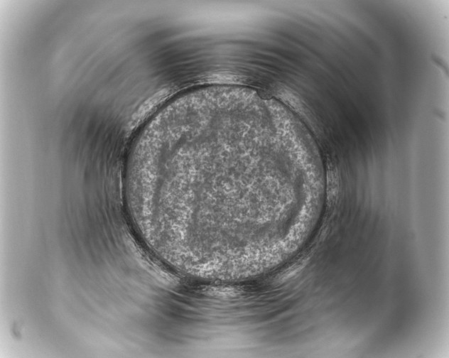 X0000101440349200807281027