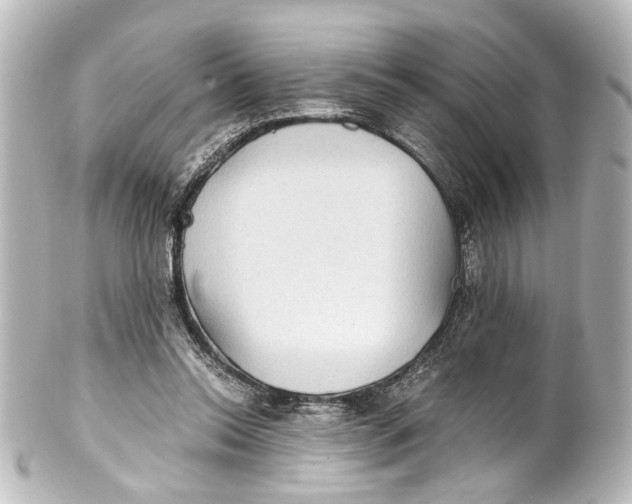 X0000101440350200807281027