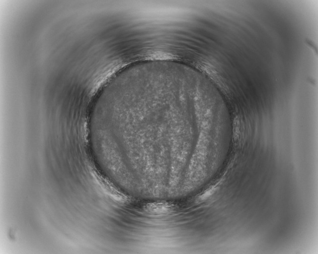 X0000101440351200807281027