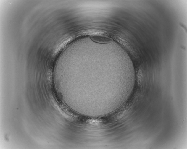 X0000101440352200807281028