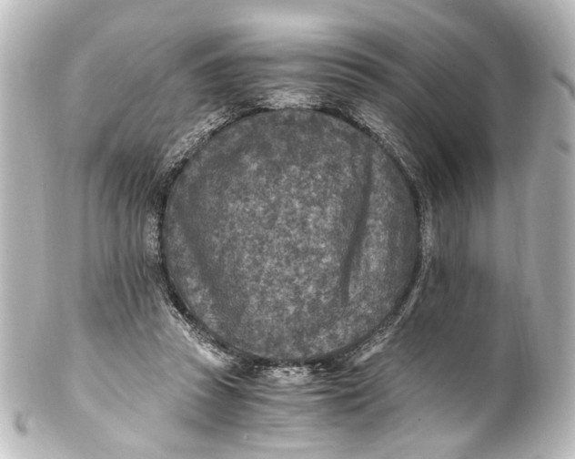 X0000101440353200807281028