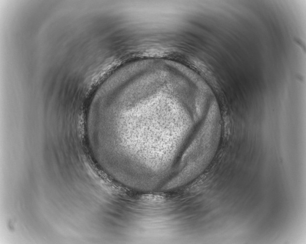 X0000101440354200807281028