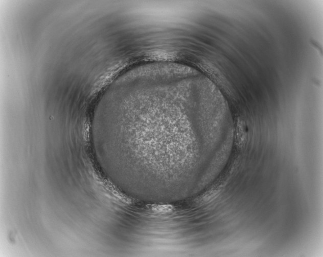 X0000101440355200807281028