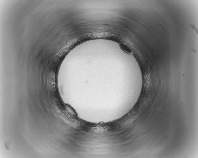 X0000101440356200807281028