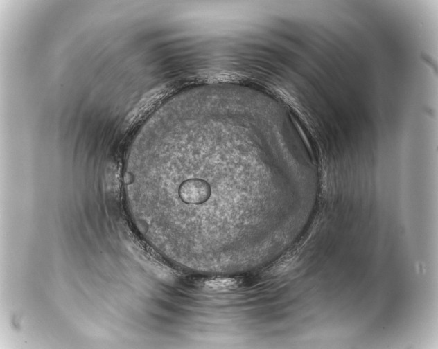 X0000101440357200807281028