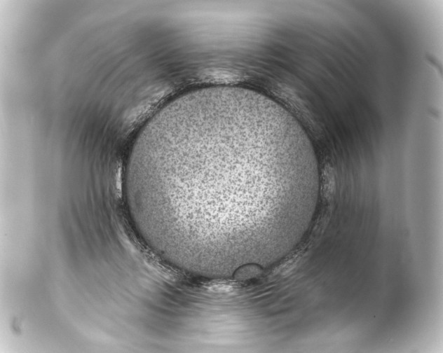 X0000101440358200807281028