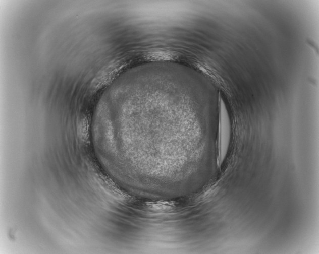 X0000101440359200807281028